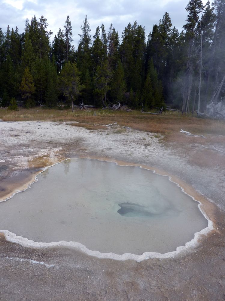 Yellowstone Old faithfull et ses environs (35).JPG